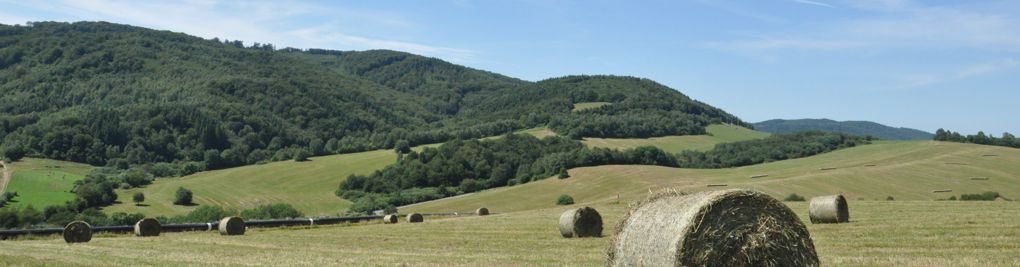 eus web 01 | eustream, a.s.